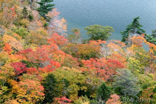 fall_foliage_CRW_0511 (1).JPG   -   Fall Foliage and Jordan Pond as seen from the summit of the North Bubble